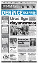 DERİNCE EKSPRES