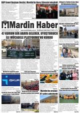 MARDİN HABER