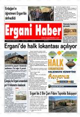 ERGANİ HABER