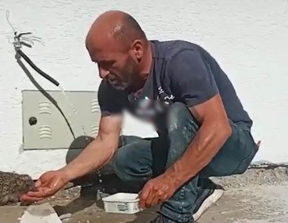 HELAL SANA MUHTAR! ‘KİRPİYE ELLERİYLE SU İÇİRDİ’