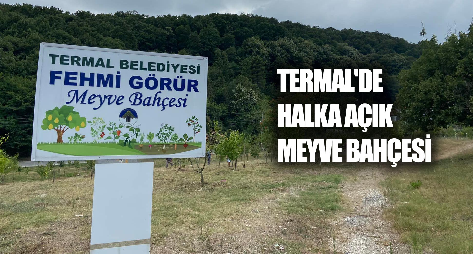 DALINDAN MEYVE TERMAL’DE