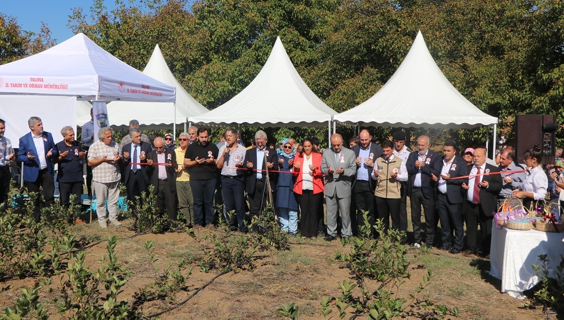 3. ARONYA HASADI İLYASKÖY’DE YAPILDI