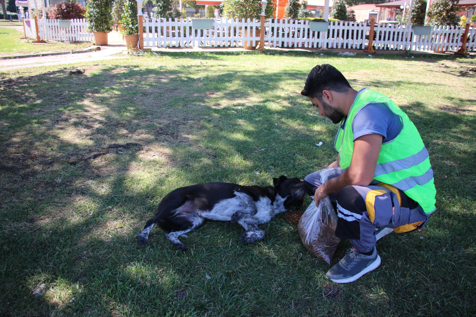 VETERİNERLİKTE EKİM AYI DOLU DOLU GEÇTİ