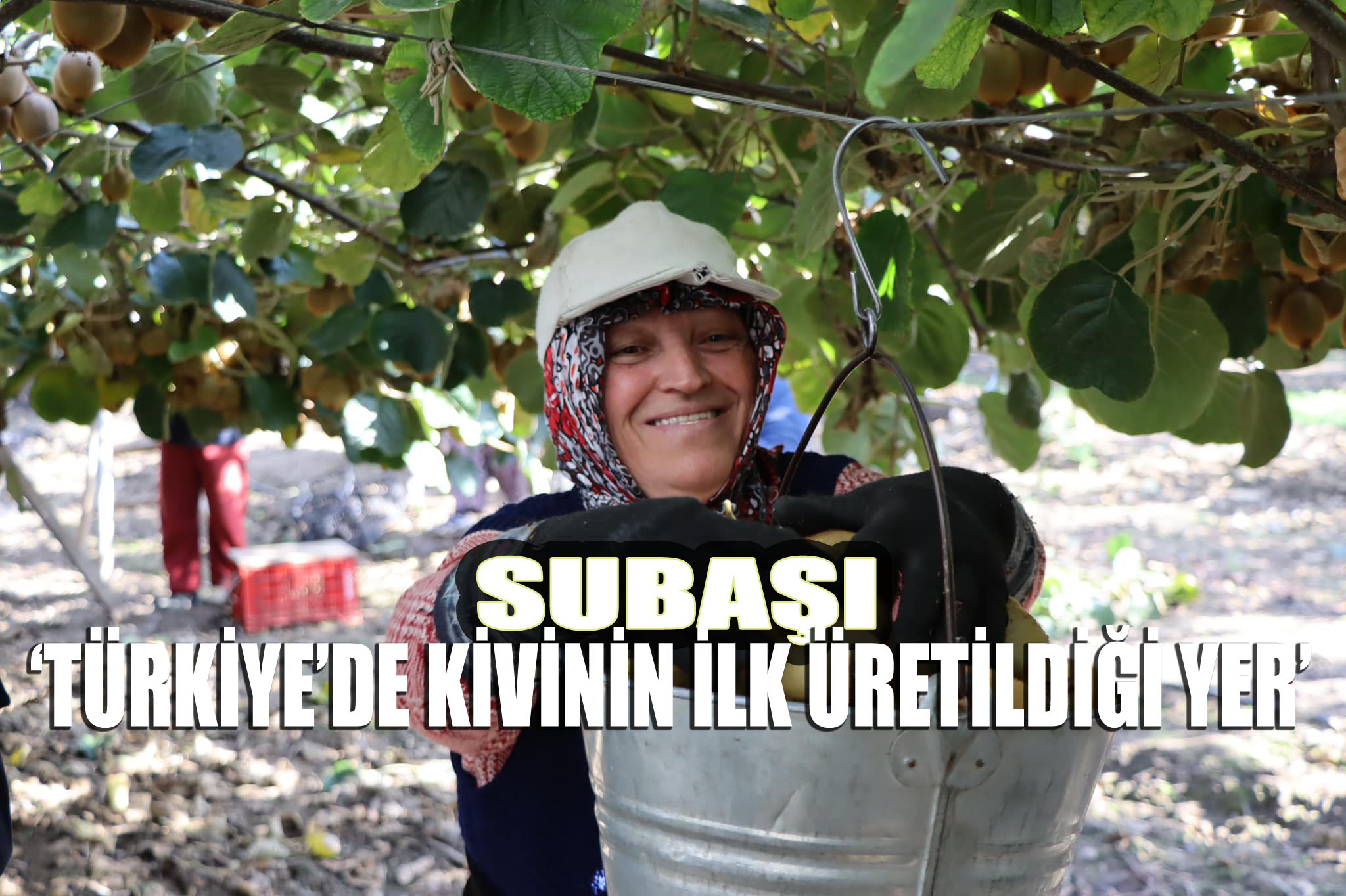 “KİVİMİZİN EN ÖNEMLİ ÖZELLİĞİ MARKA OLMASIDIR”