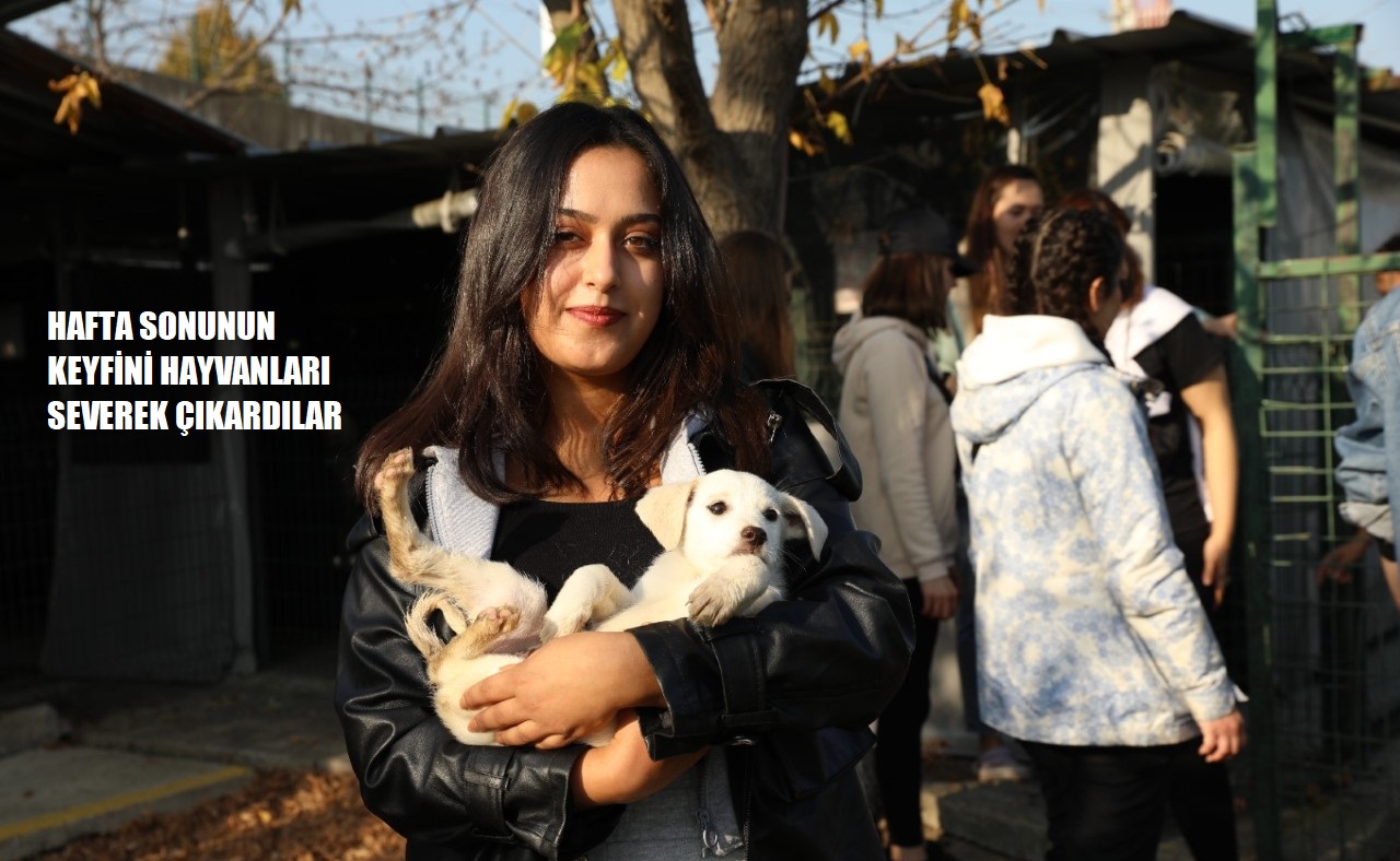 SOKAK HAYVANLARINI BESLEDİLER