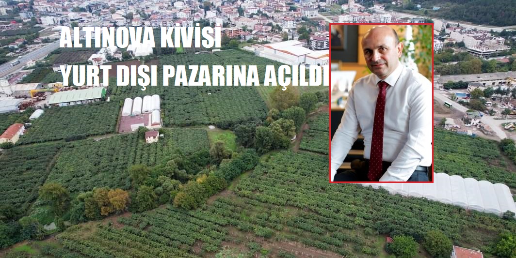 GÜZEL VE KIYMETLİ BİR MEYVE..