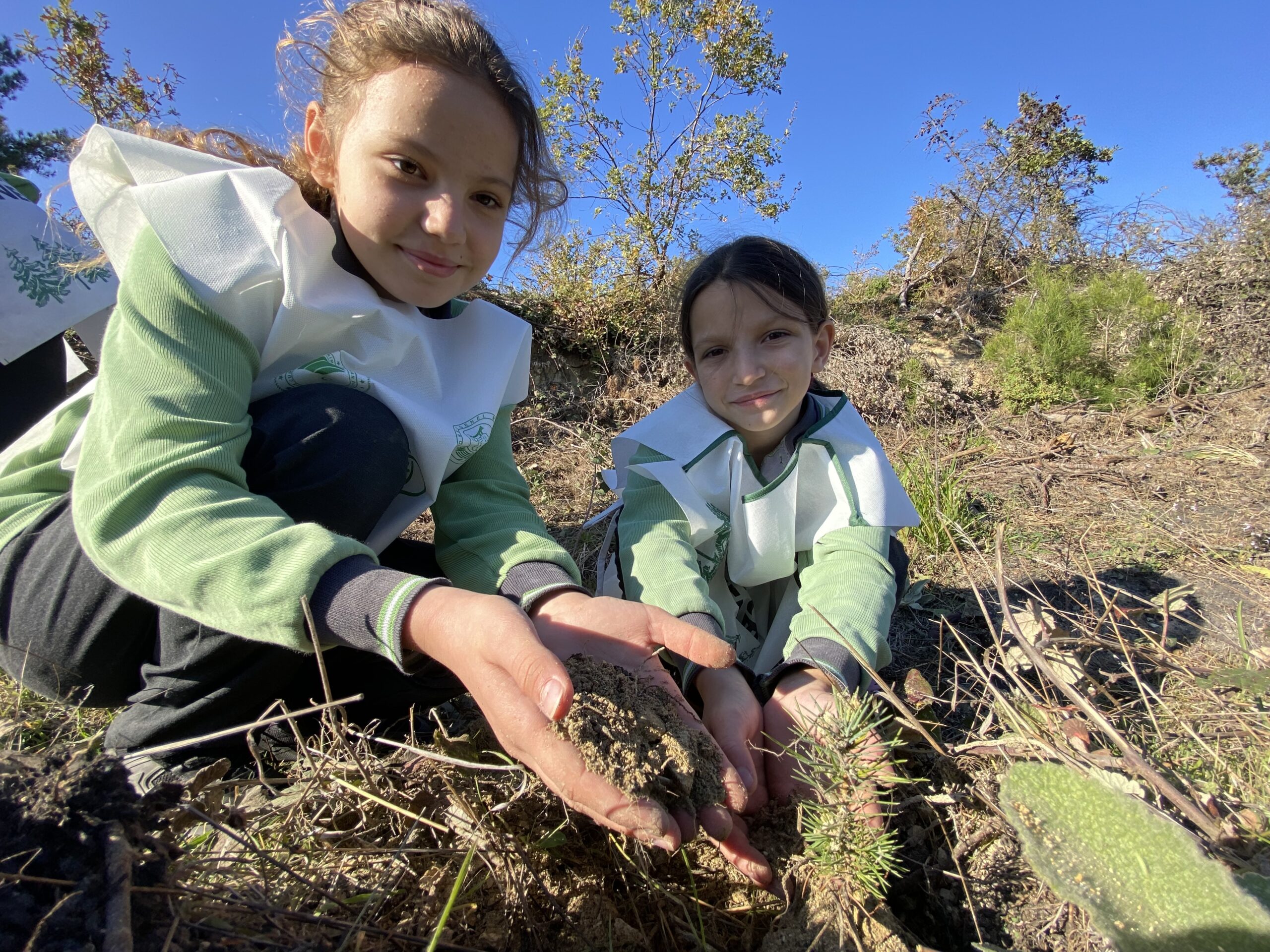 KARAMÜRSEL ÇAMDİBİ MAHALLESİNE FİDANLAR DİKİLDİ
