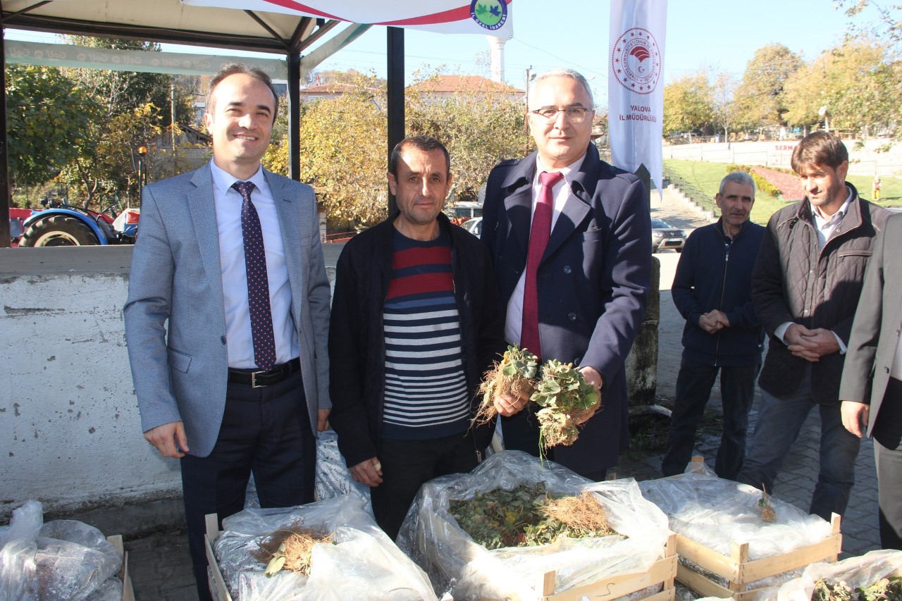 SERMAYECİKLİ ÇİFTÇİLERE 61.213 ADET ÇİLEK FİDESİ DAĞITILDI