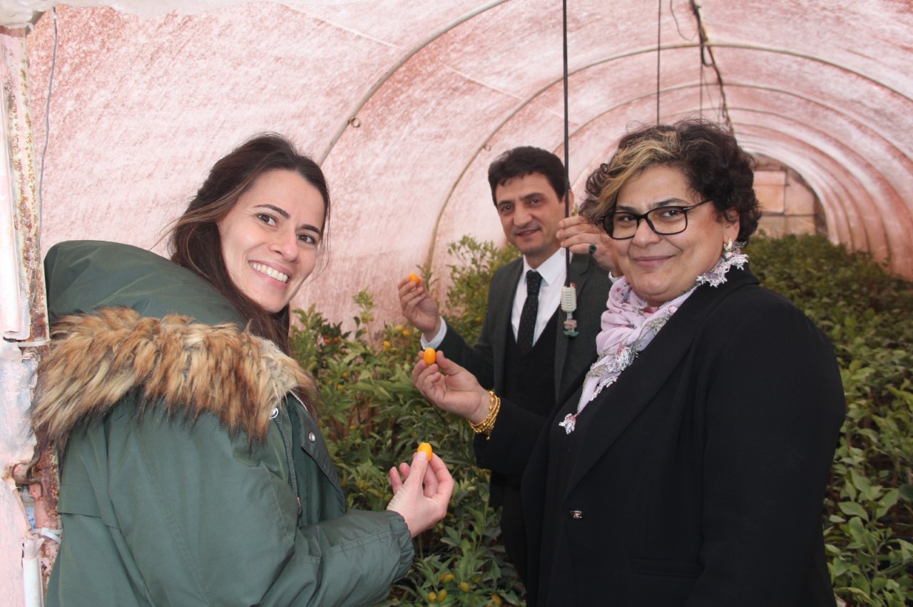 BAKAN DANIŞMANI ZELİHA DÖNMEZ YALOVA’YI ZİYARET ETTİ