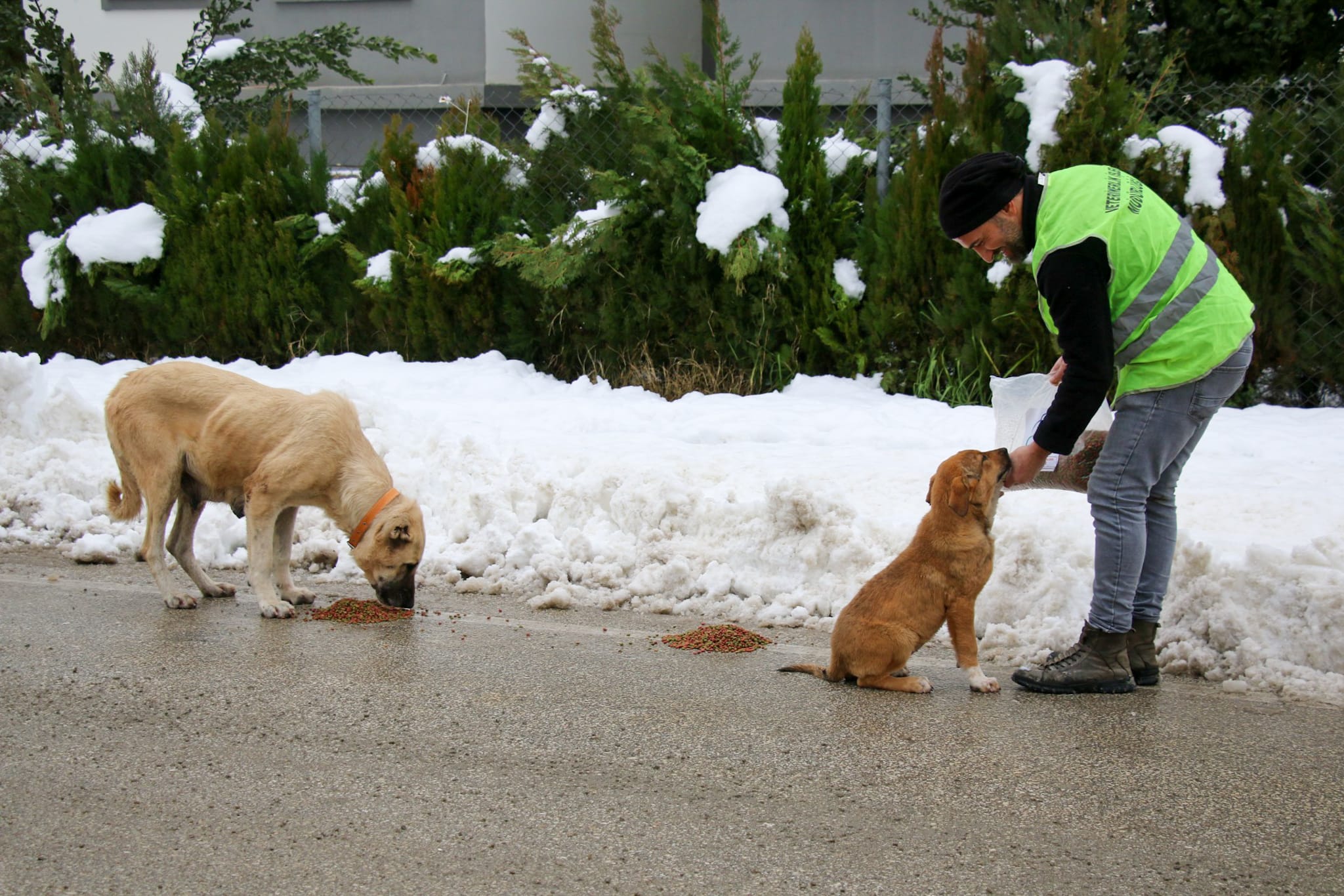 YALOVA BELEDİYESİ KARLA MÜCADELE ÇALIŞMASINI BAŞARIYLA SÜRDÜRÜYOR
