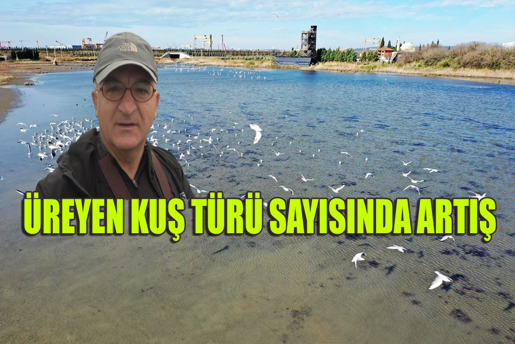 ‘TÜRKİYE’DE İKİ YERDE ÜRÜYOR’