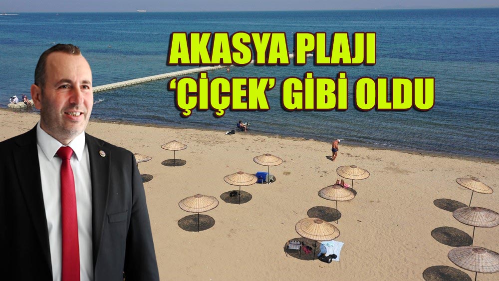 PLAJ, MODERN GÖRÜNÜME KAVUŞTURULDU