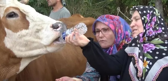 VİDEO HABER: YALOVA’DA, KÖYLÜLERDEN ‘İLGİNÇ’ PROTESTO