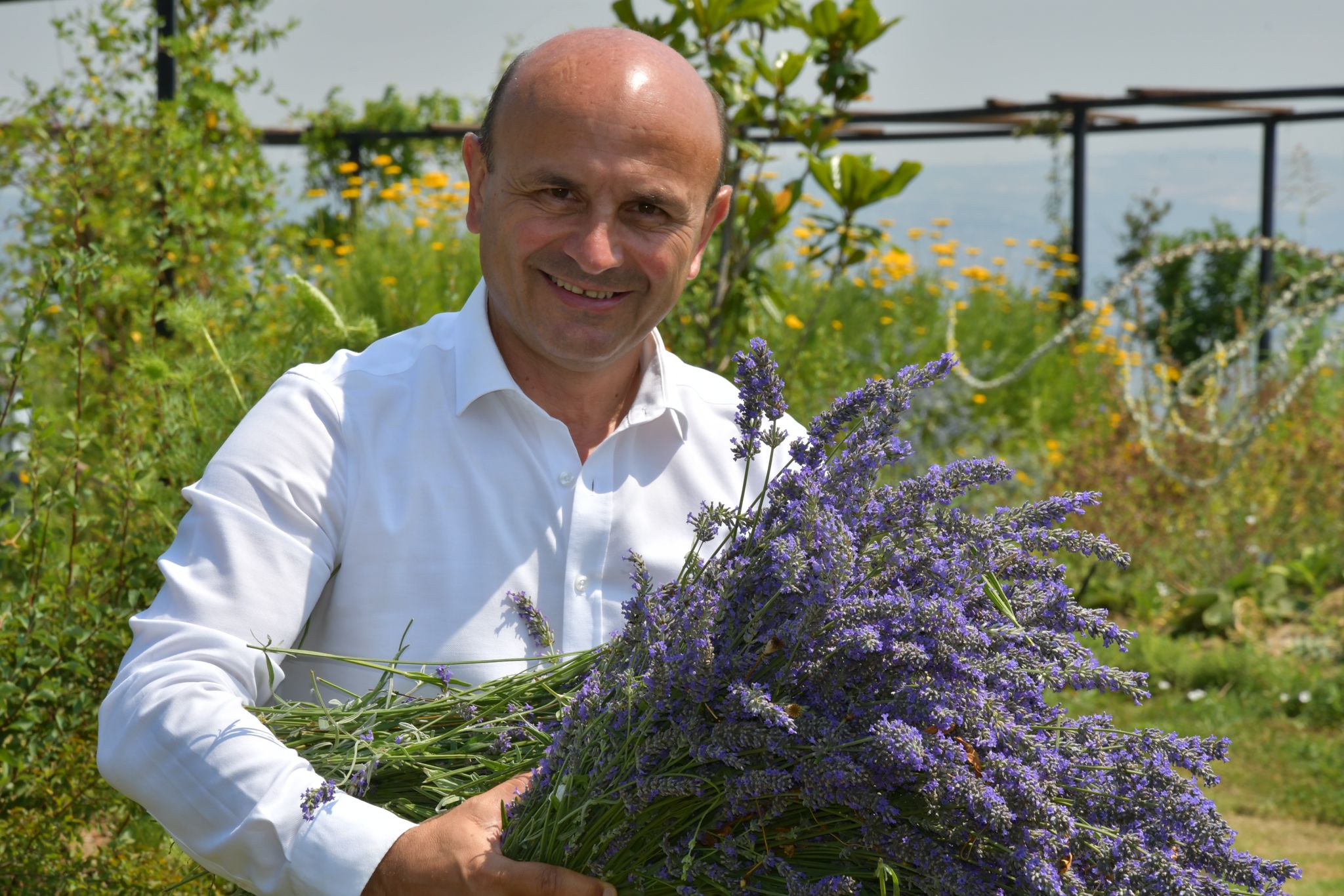 TIBBİ AROMATİK BİTKİLER BAHÇESİ’NDE HASAT BAŞLADI
