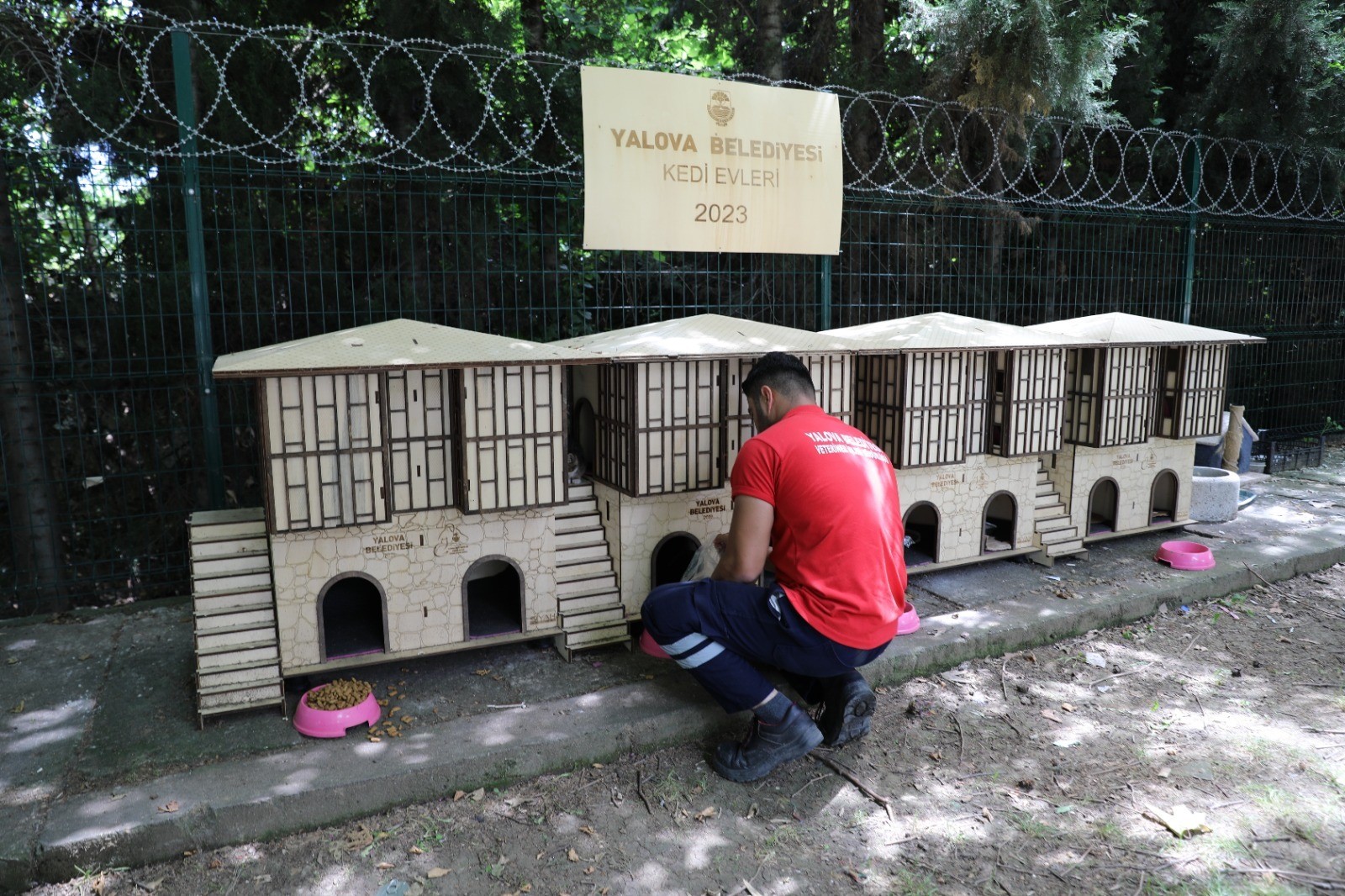 YALOVA’DA SOKAK HAYVANLARI SUYU KANA KANA İÇTİ