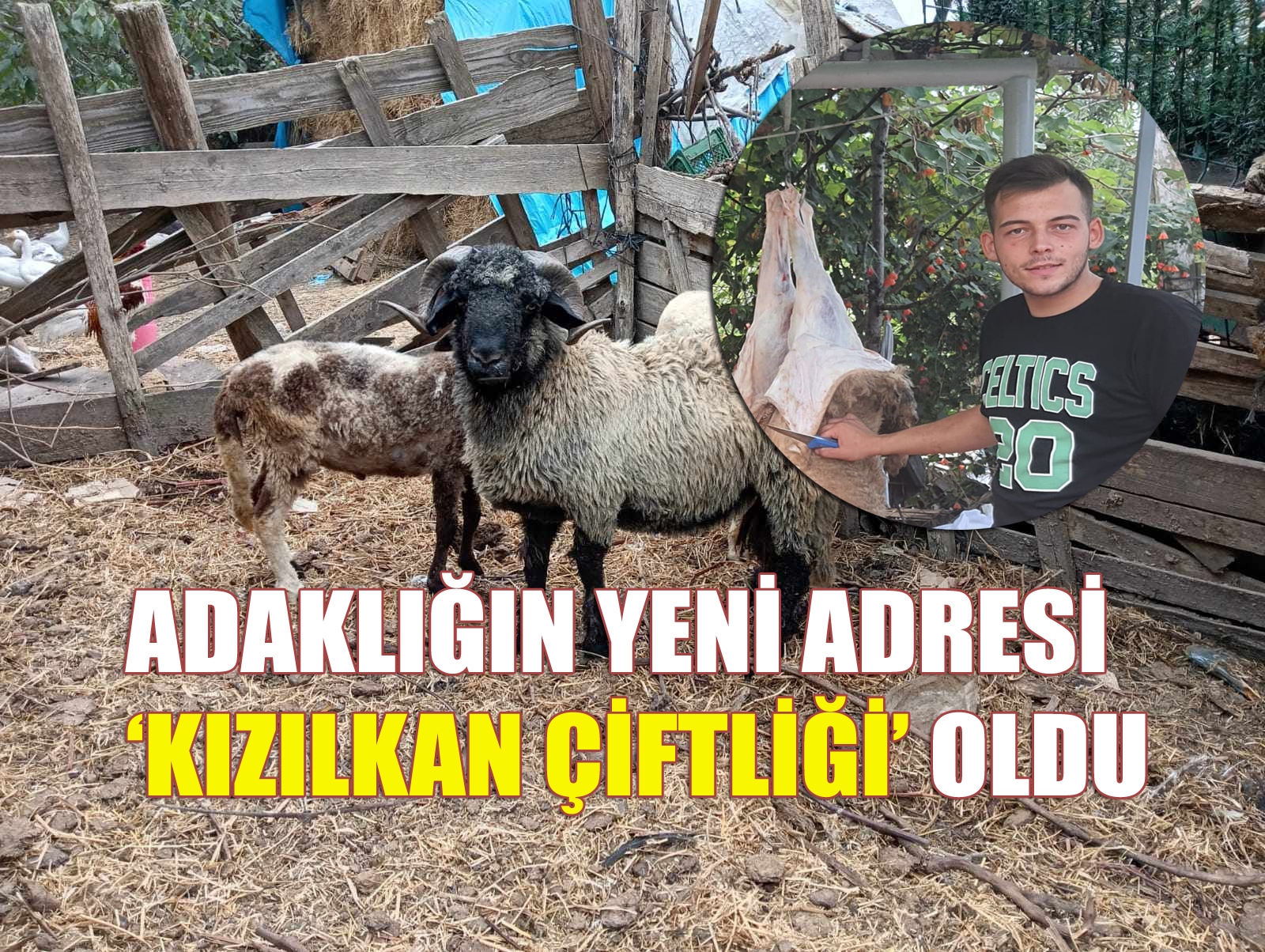‘KIZILKAN ÇİFTLİĞİ’ GÜVEN VERİYOR!
