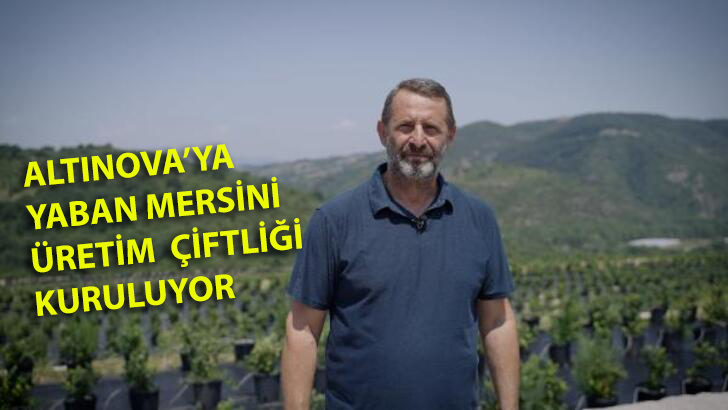 İLK HASAT 2024’TE