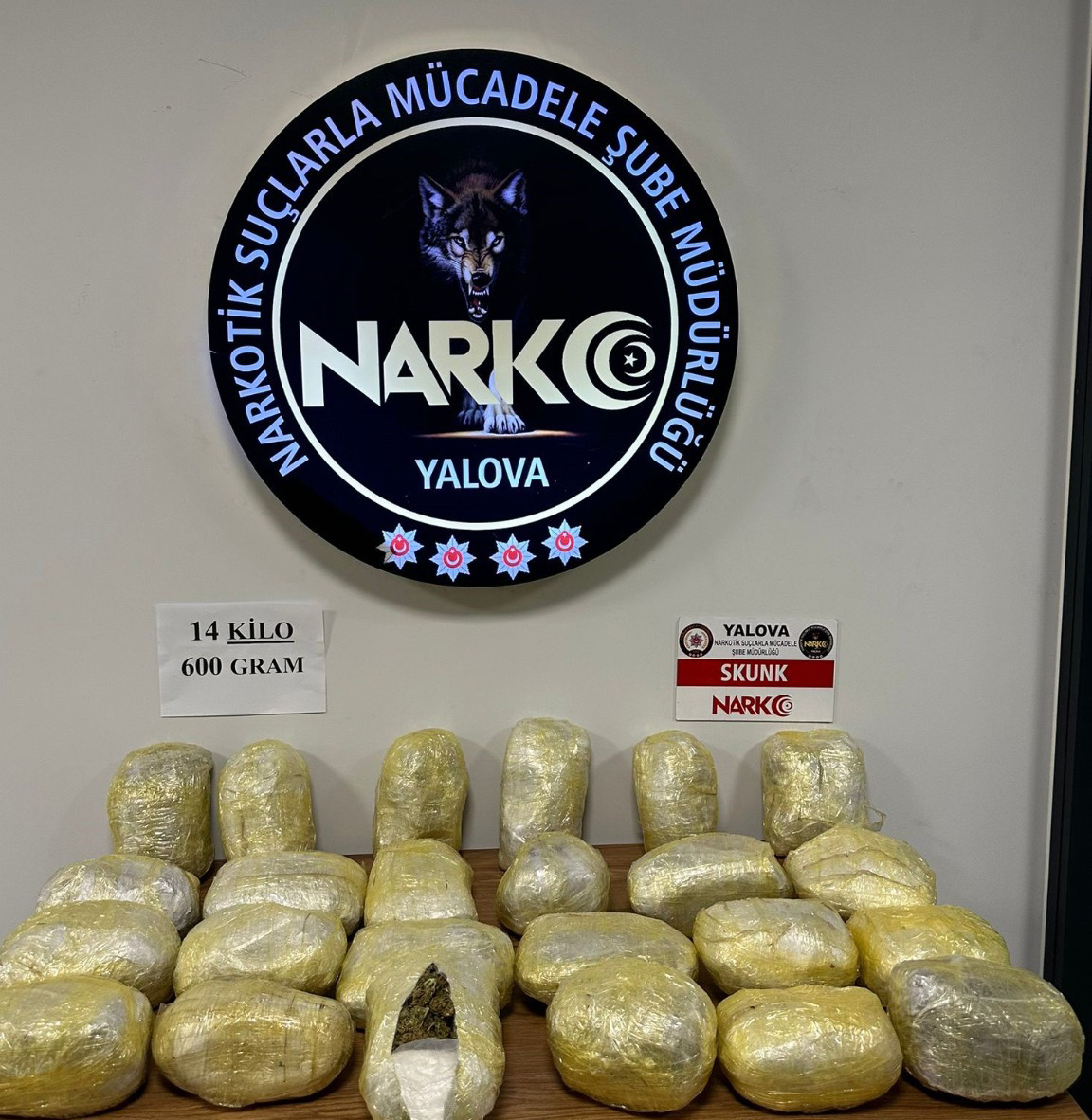 Yalova’da, 14 kilo 600 gram skunk maddesi ele geçirildi