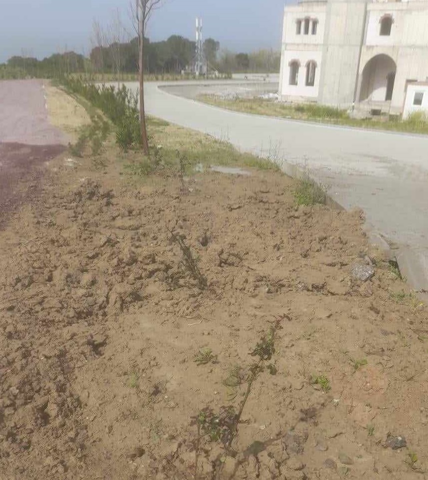 YALOVA ÜNİVERSİTESİ’NİN GÜLLERİ “AKGÜN ÇİÇEKÇİLİKTEN”