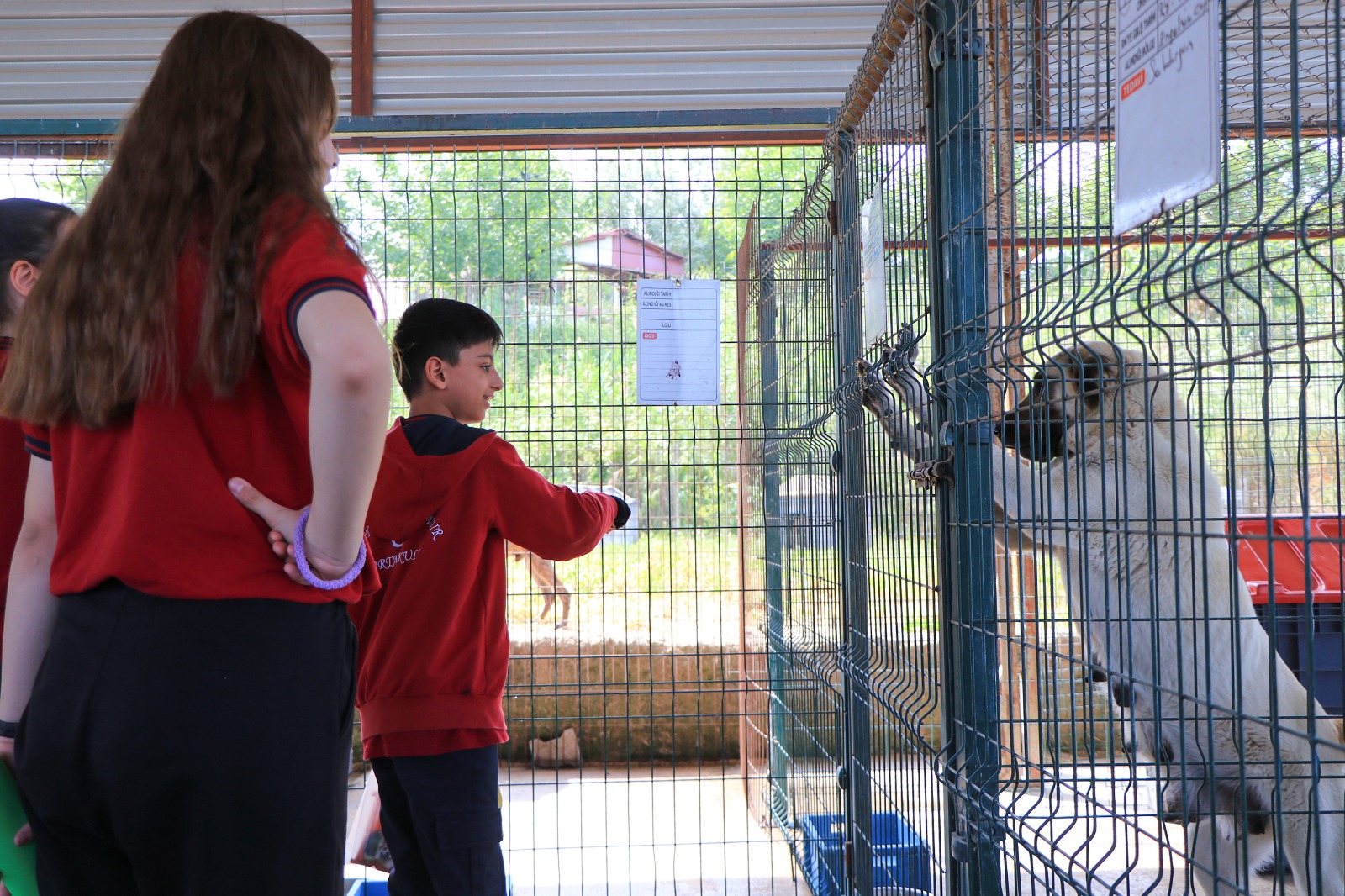 ÇİFTLİKKÖYLÜ ÖĞRENCİLER İNGİLİZCE DERSLERİNİ BARINAKTA YAPTI