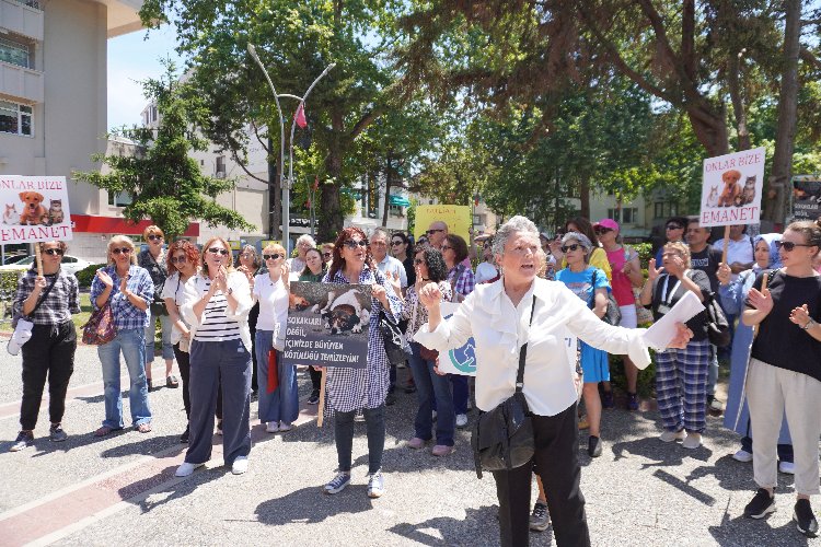 YALOVALILAR SOKAK HAYVANLARI İÇİN TOPLANDI