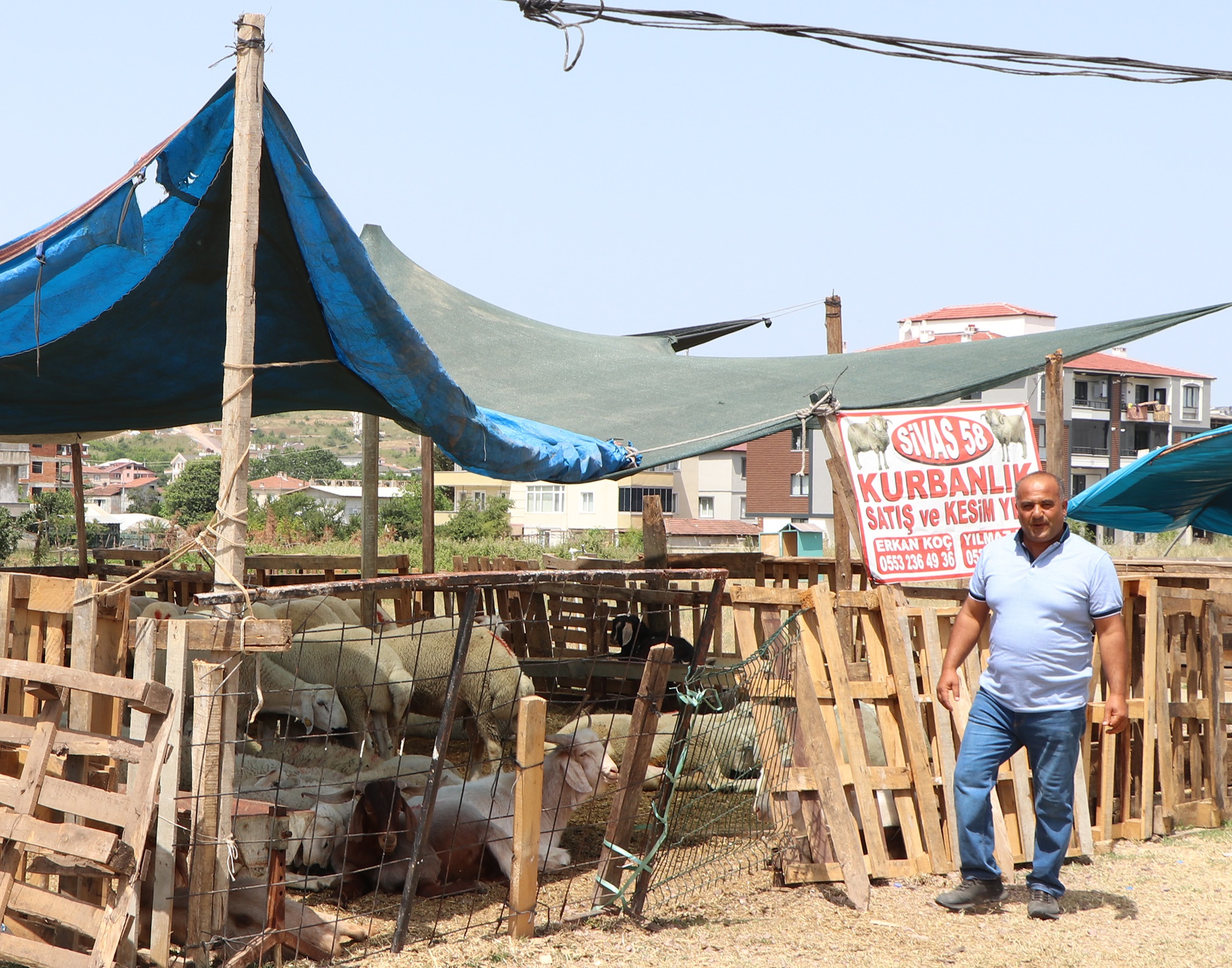 ÇİFTLİKKÖY’DE KURBAN PAZARI BAYRAMA HAZIR