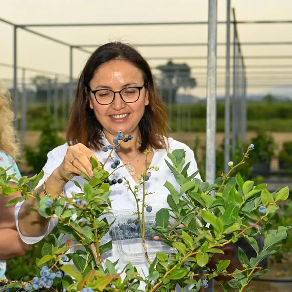 VALİ AKILLI TARIM UYGULAMASINI İNCELEDİ