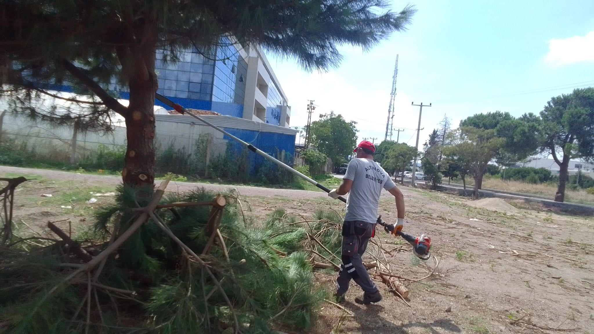 İLÇE GENELİNDE BUDAMA ÇALIŞMASI YAPILDI