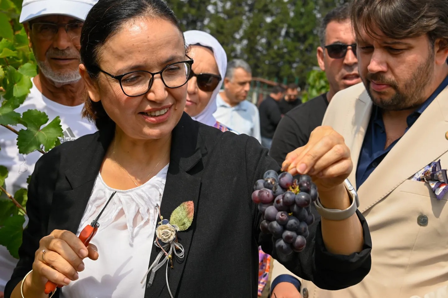 YALOVA’DA ÜZÜM HASADI BAŞLADI