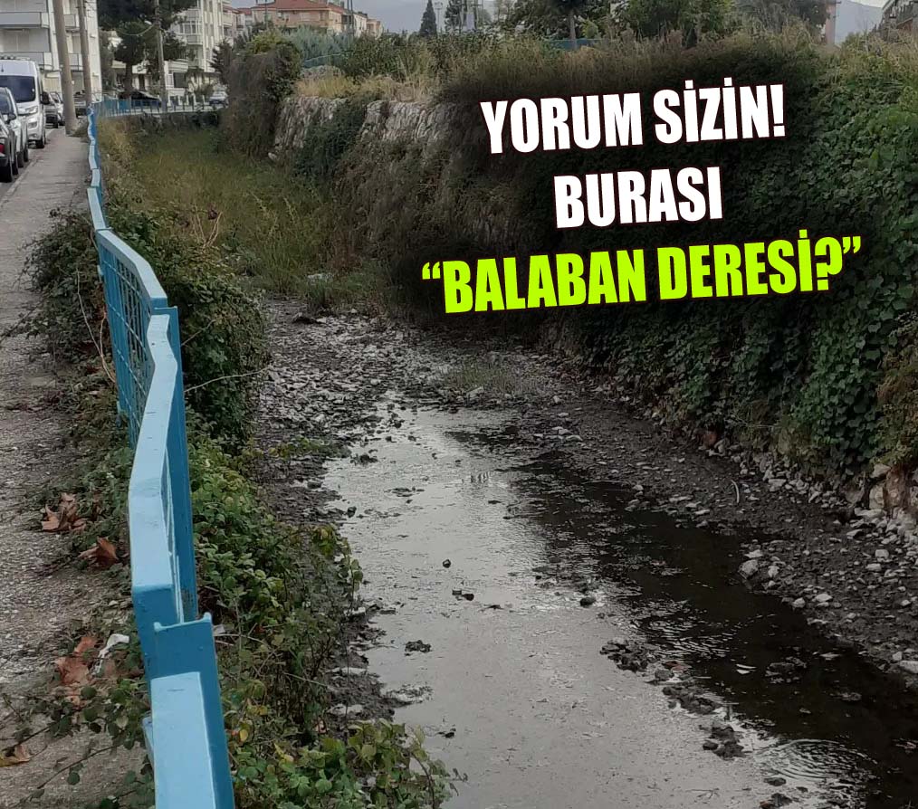 “YETKİLİLERE ZAHMET OLMAZSA GÖREVE DAVET EDİYORUZ” HABER:HADİ TONAROĞLU
