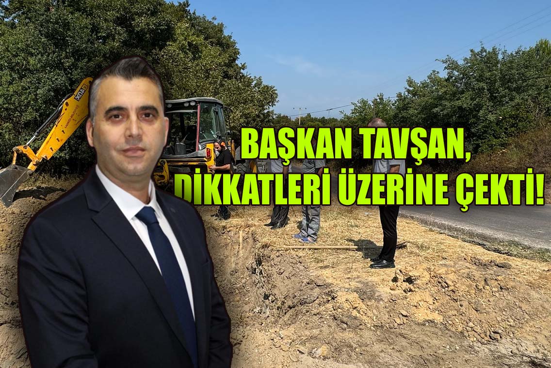 “BAŞKAN TAVŞAN” KISA SÜREDE FARKINI BELLİ ETTİ