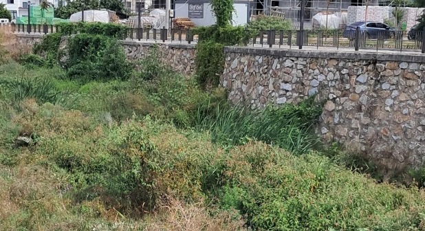 KOKU VE SİNEKTEN GEÇİLMİYOR!