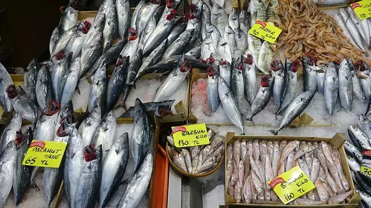 Yalova Balık Pazarı’nda Fiyat Tartışmaları: Balık Ucuz mu, Pahalı mı?