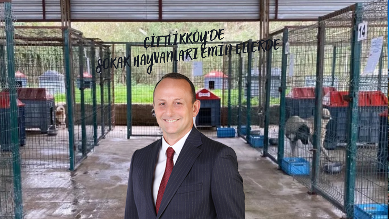 BAŞKAN YELE:‘CAN DOSTARIMIZIN YANINDA OLMAYA DEVAM EDİYORUZ’