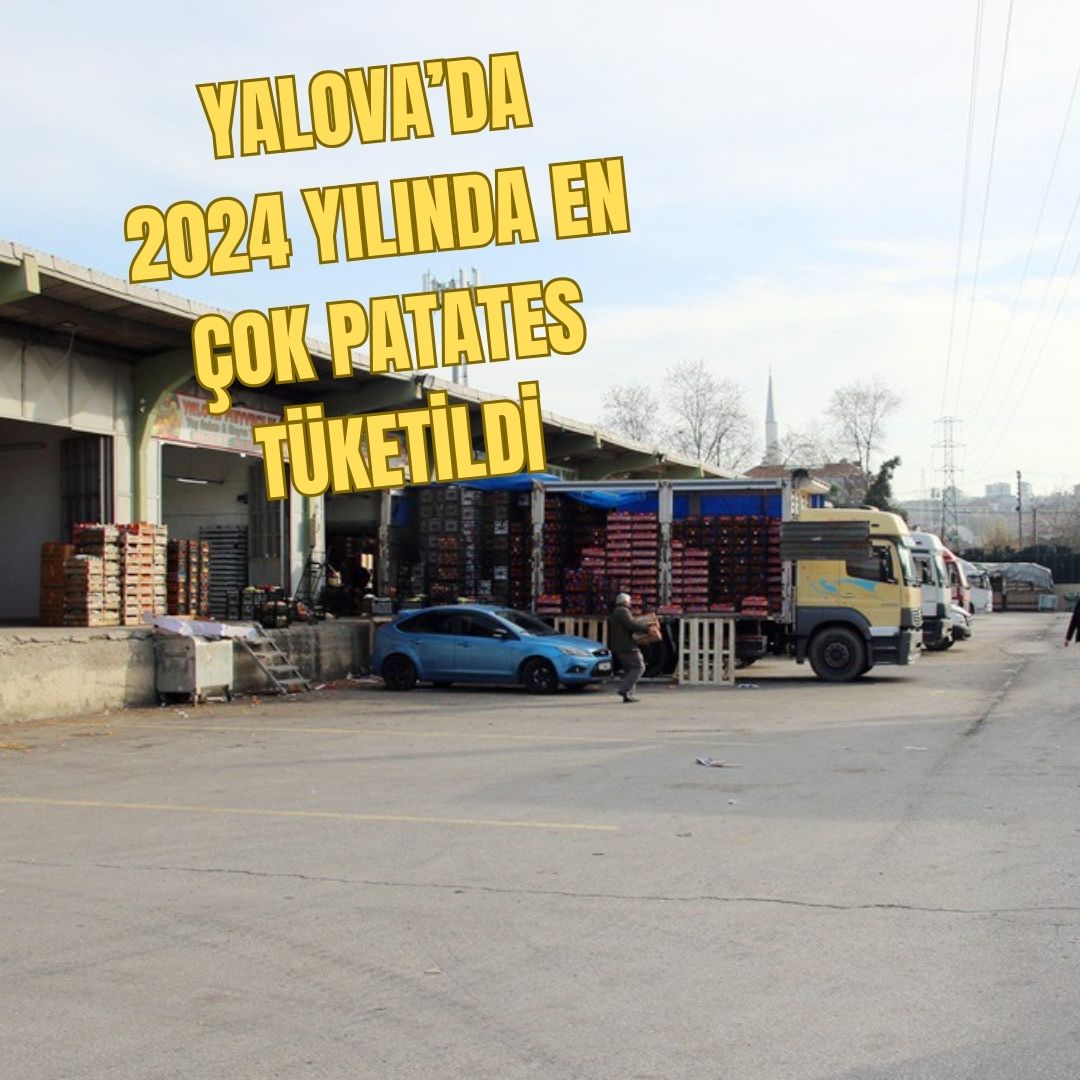 YALOVA ARTIK PATATESLE DOYUYOR!