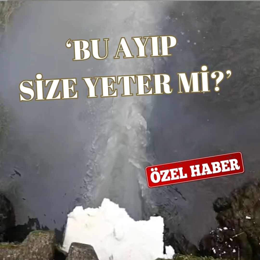 ÇINARCIK’IN FOSEPTİĞİ TAŞLİMAN BÖLGESİNE AKIYOR!