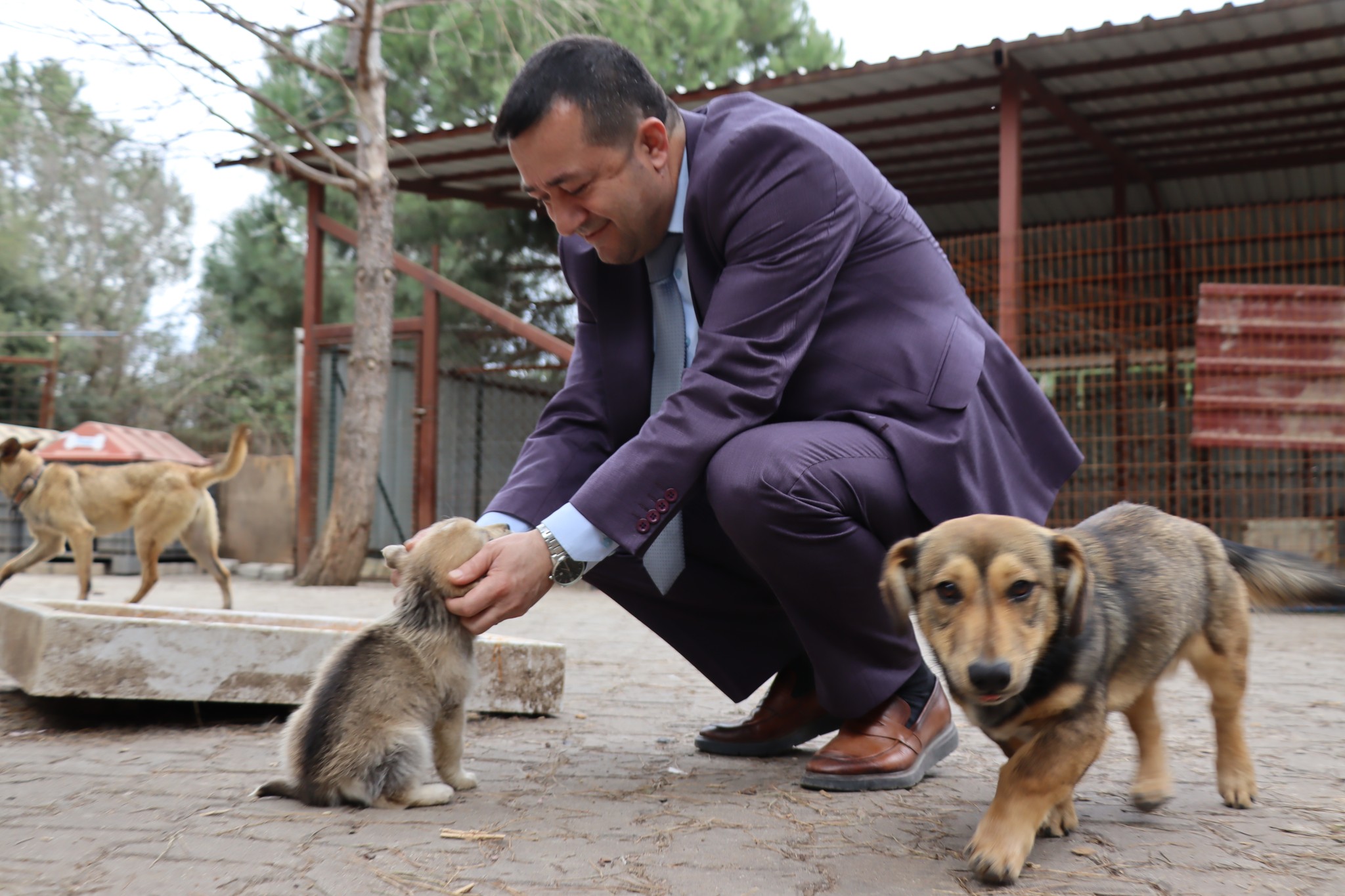 SUBAŞI’NDA SOKAK HAYVANLARI BARINAKTA