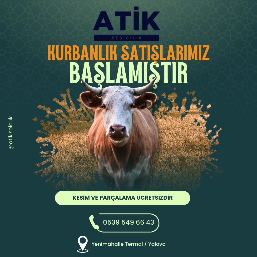 ATİK BESİCİLİK, KURBANLIK SATIŞLARINA BAŞLIYOR