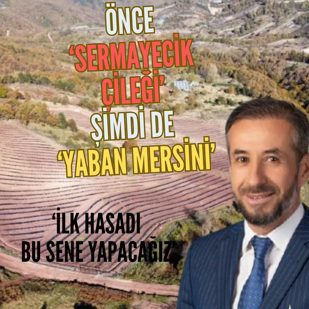 ÇİFTÇİ:’’YABAN MERSİNİ FESTİVALİ YOLDA’’