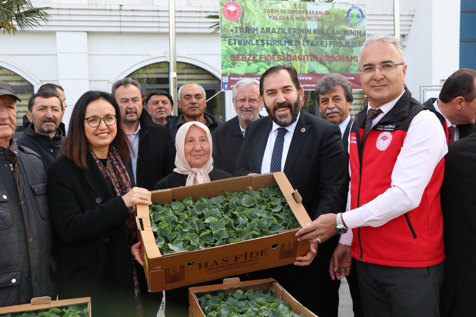 YALOVA’DA ÇİFTÇİLERE 375 BİN ADET FİDE DAĞITILDI