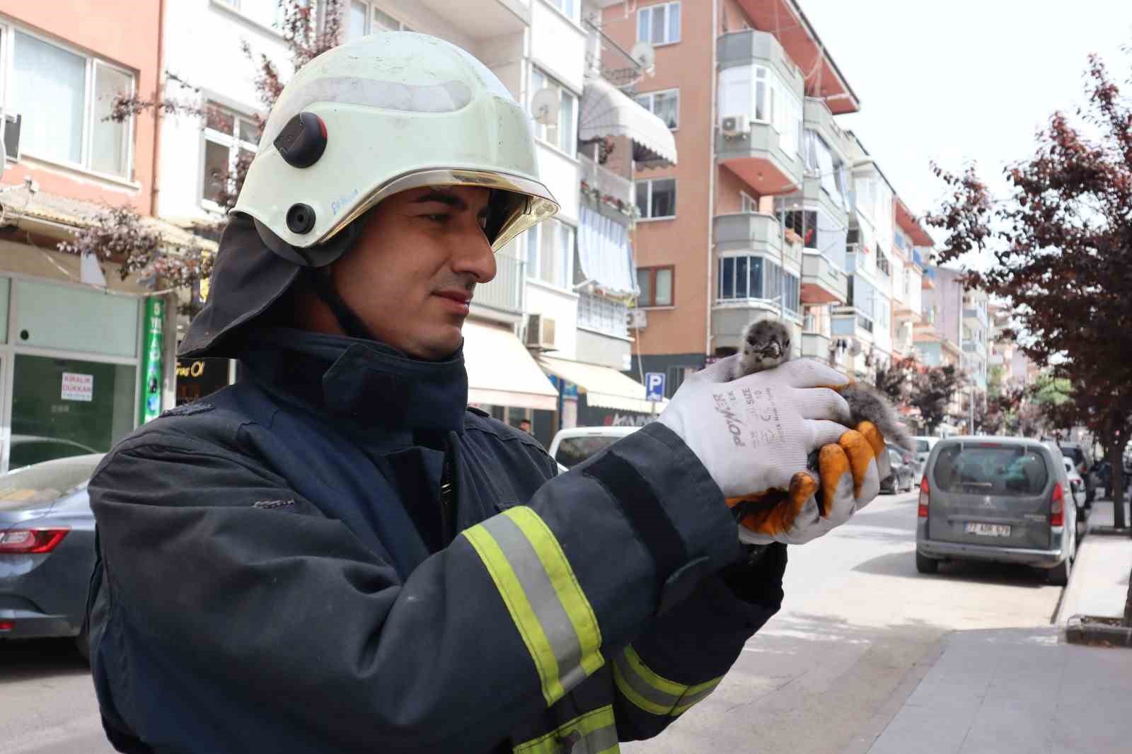 YAVRU MARTI’NIN İMDADINA İTFAİYE YETİŞTİ