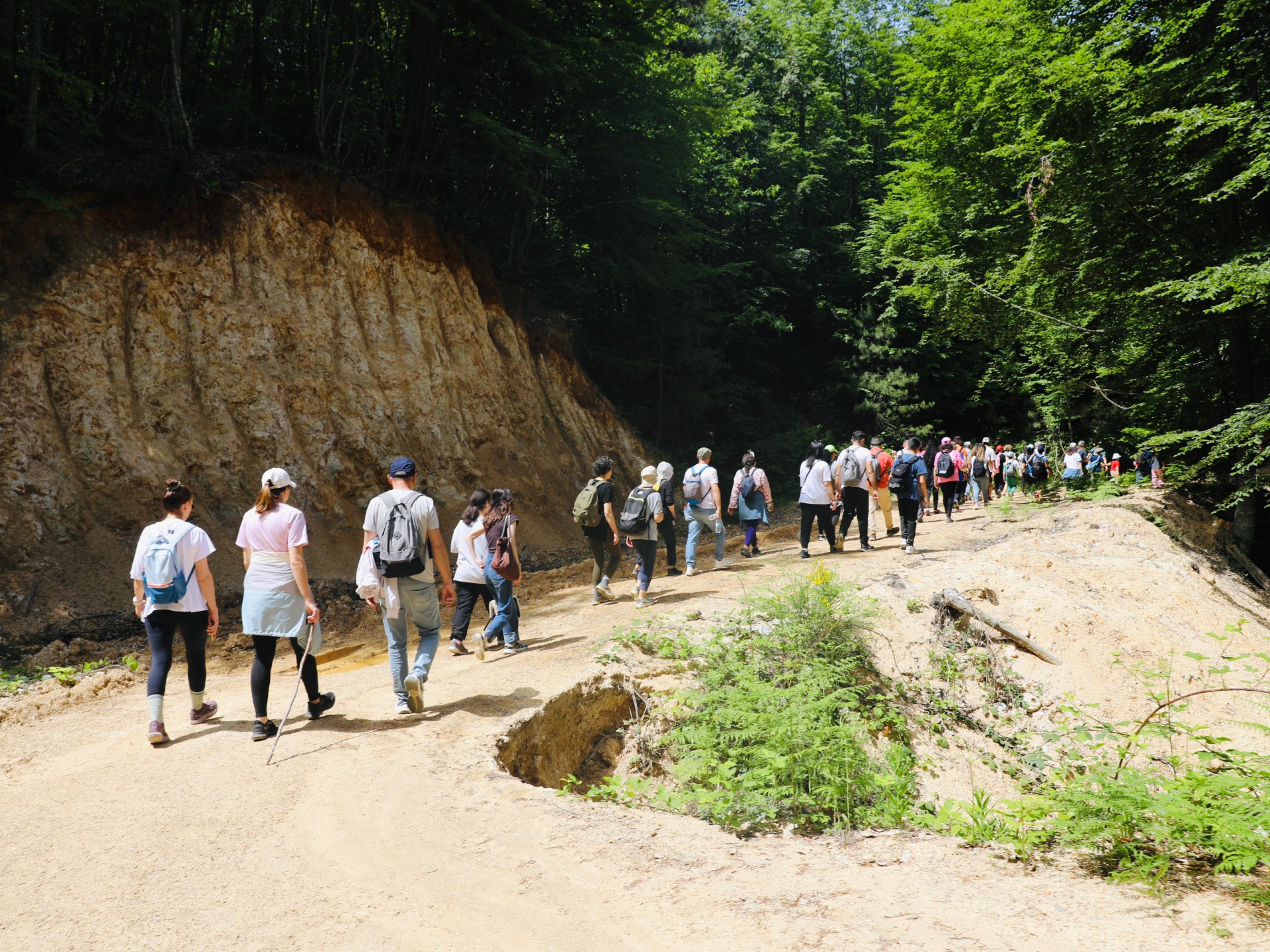 YALOVA’DAN DİPSİZ GÖLE DOĞA YÜRÜYÜŞÜ