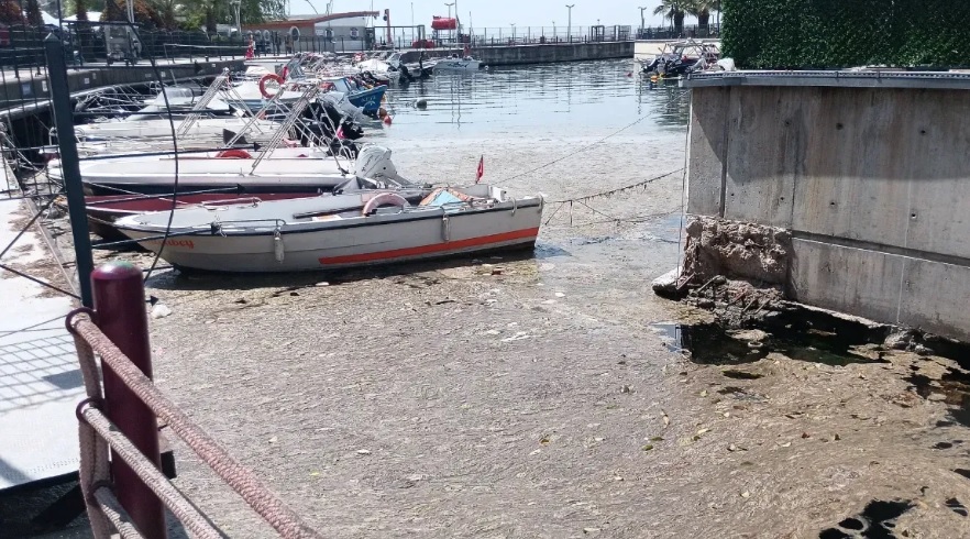 MÜSİLAJ GERİ DÖNDÜ!