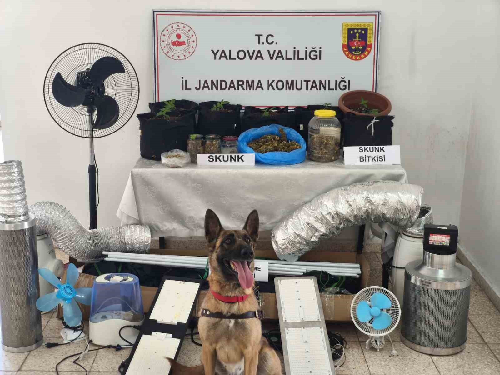 EVİNİ UYUŞTURUCU SERASINA ÇEVİREN ZANLI YAKALANDI!