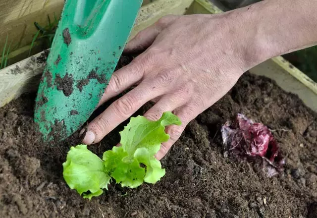 SON BAŞVURU TARİHİ AÇIKLANDI!