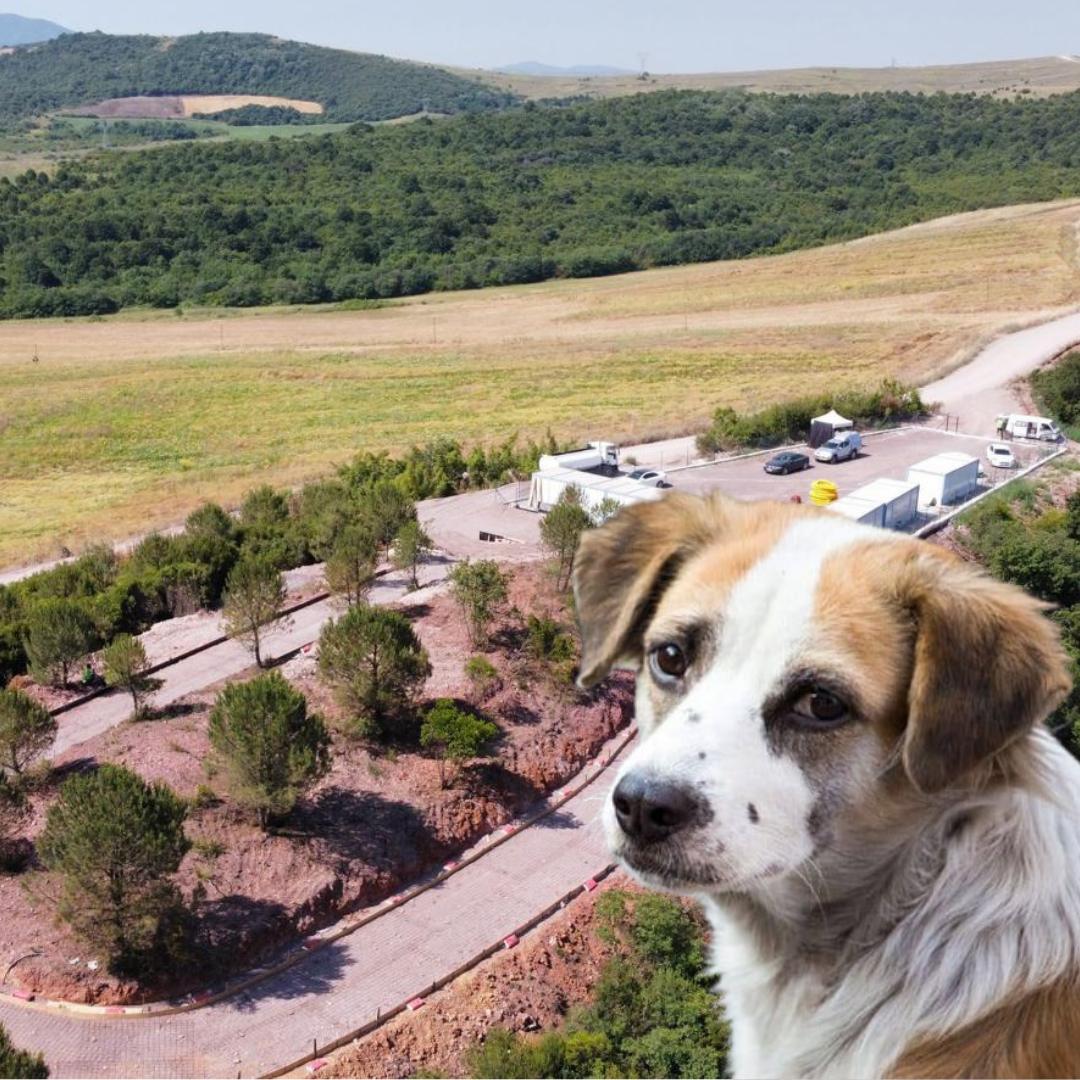 ÇİFTLİKKÖY YENİ DOĞAL YAŞAM BARINAĞI