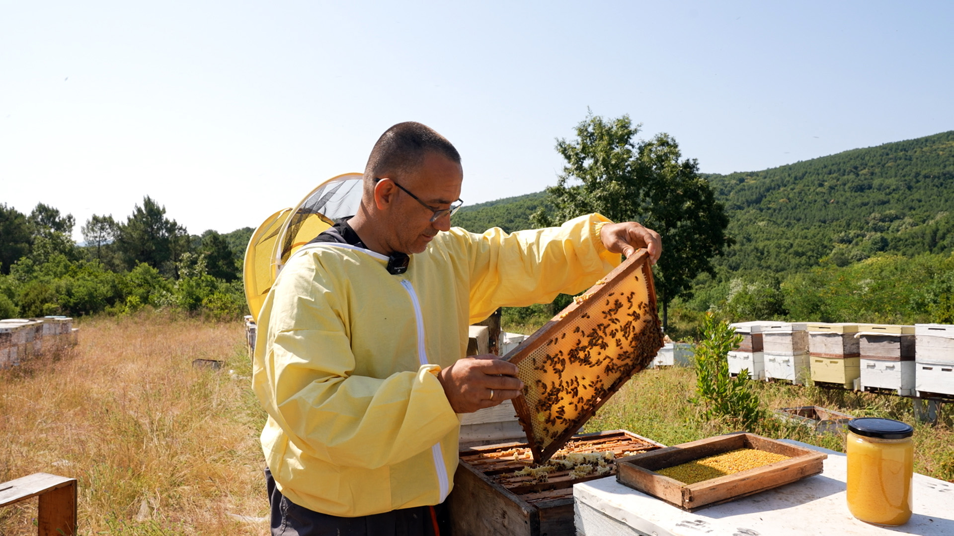 YALOVA KESTANE BALI EN KALİTELİ BALLAR ARASINDA