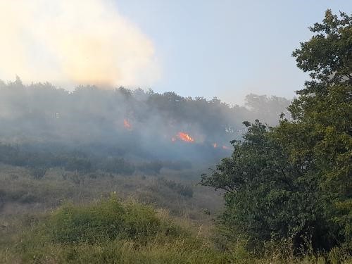 YALOVA’DA ORMAN YANGININA BÖYLE MÜDAHALE EDİLDİ!