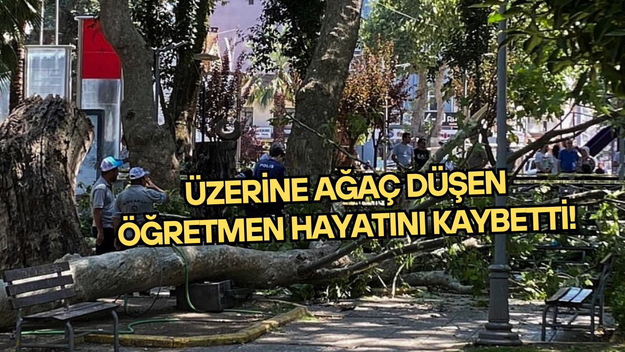 AĞAÇ DALININ ALTINDA KALAN ÖĞRETMEN HAYATINI KAYBETTİ