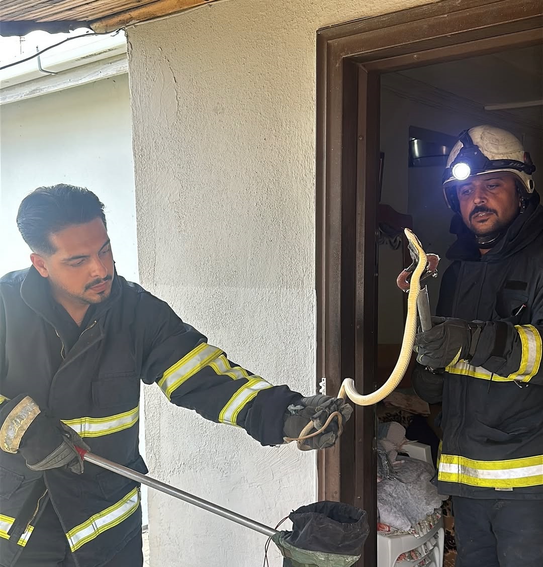 YALOVA’DA ZEHİRSİZ YILAN DOĞAYA SALINDI